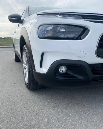 Citroen C4 Cactus cena 50999 przebieg: 54000, rok produkcji 2018 z Warszawa małe 301